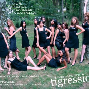 Tigressions 的头像