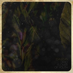 Dead Flower of Youth - Single