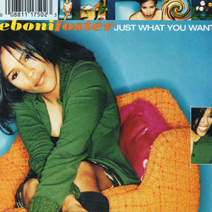 Just What You Want cover