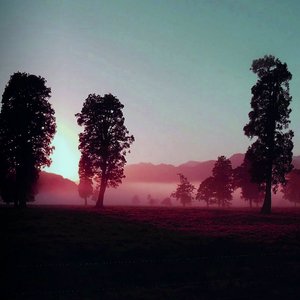 Avatar for Crimson Oak