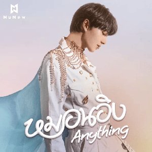 หมอนอิง (Anything) - Single