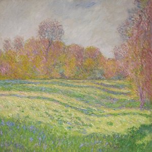 Sun Outside My Window (2021)