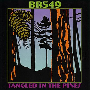 Tangled in the Pines cover