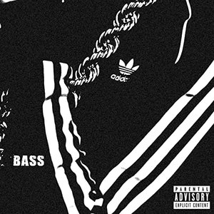 Bass