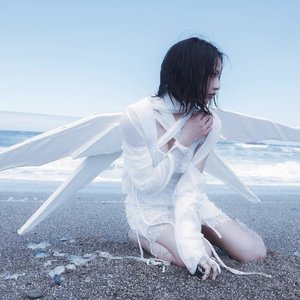 Lace 的头像