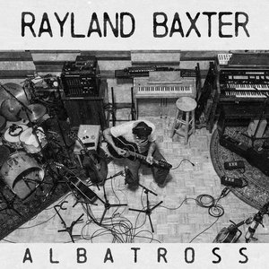 Albatross