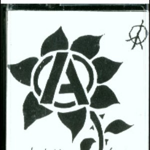 For An Anarchist Revolution