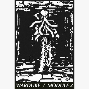 MODULE 3