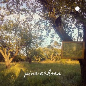 Pine Echoes - Single