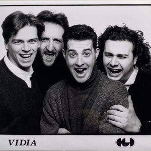 vidia 的头像