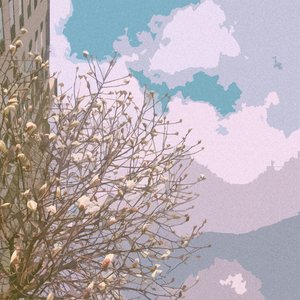 silk.y. 的头像
