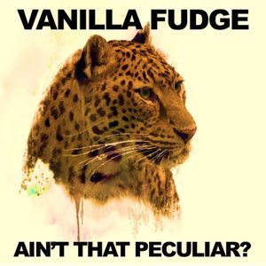 Ain't That Peculiar (Extended Album Version)