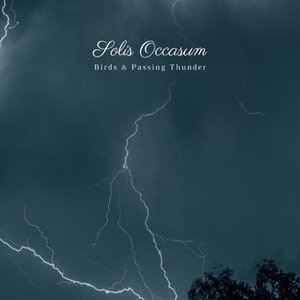 Birds & Passing Thunder