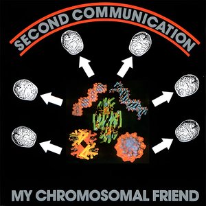 My Chromosomal Friend