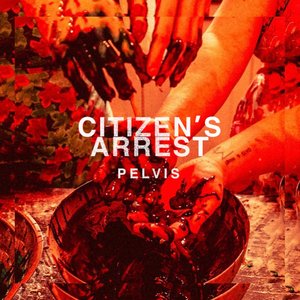 Citizen's Arrest