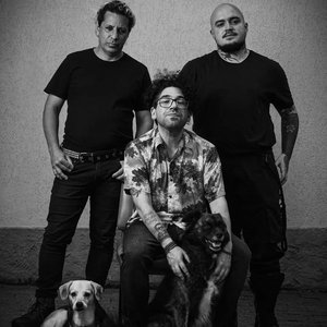 Awatar dla Dennis & O Cão da Meia-noite