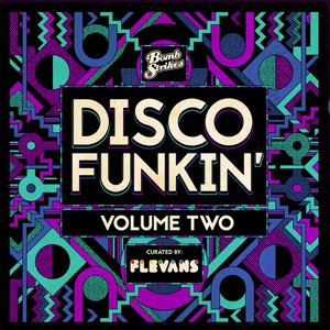 Disco Funkin', Vol. 2 (Curated by Flevans) [DJ Mix]