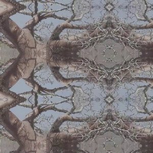 Avatar for Alex Haas, Bill Laswell