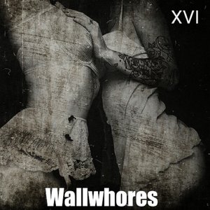 XVI
