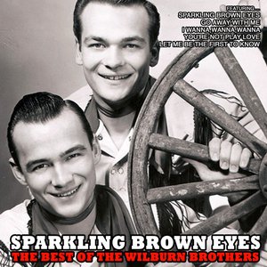 Sparkling Brown Eyes, the Best of the Wilburn Brothers