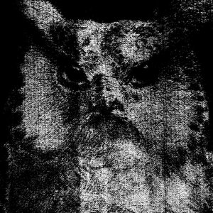 Image for 'owldaemon'