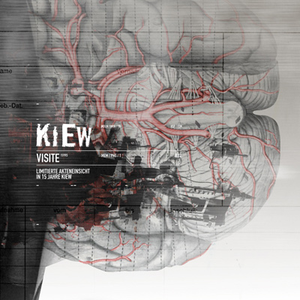 Visite - Limitierte Akteneinsicht in 15 Jahre Kiew cover