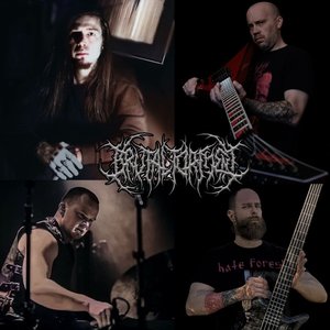 “Brutal Torment”的封面