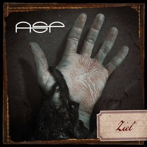 Ziel - Single