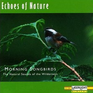 Echoes of Nature: Morning Songbirds