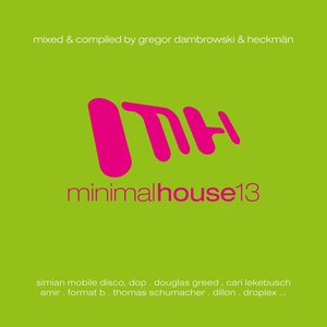 Minimal House 13