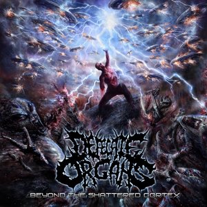 DEFECATE ORGANS 的头像