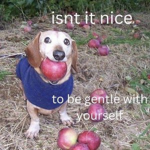 The Dog With The Apple 的头像