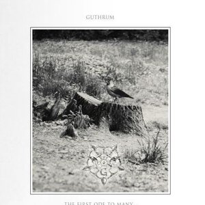 The First Ode to Many...