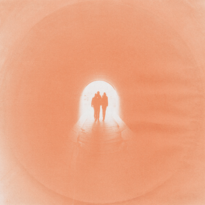 Artwork for Wild One
