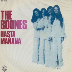 Изображение для 'The Boones'