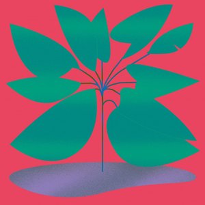 Wakayama - Single