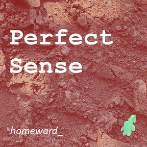 Perfect Sense