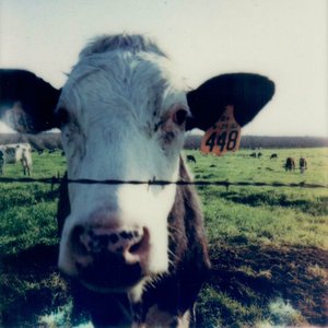Snow - Single
