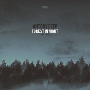 Forest In Night