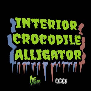 INTERIOR CROCODILE ALLIGATOR