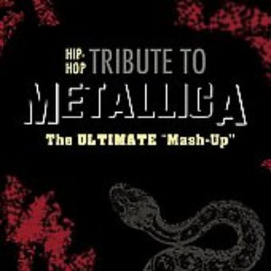 Avatar for Tribute To Metallica