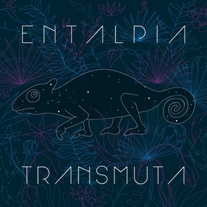 Transmuta