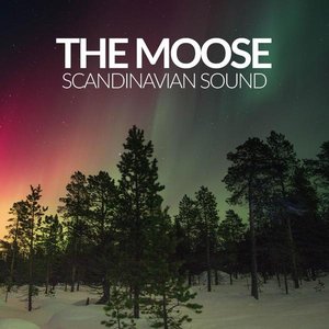 Scandinavian Sound