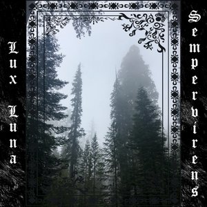 Sempervirens