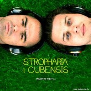 Stropharia i Cubensis のアバター