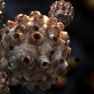 HPV.com 的头像