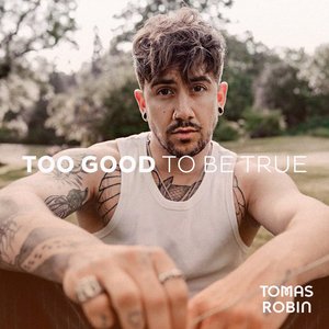 Too Good To Be True - Single
