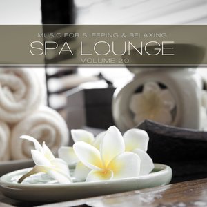 SPA Lounge, Vol. 20