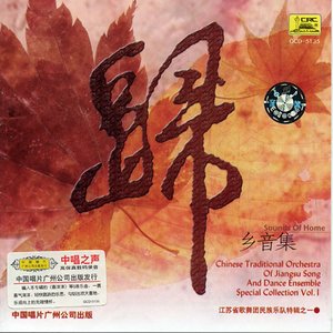 Sound of Homeland : Homebound