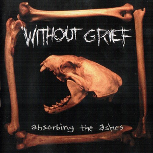 Absorbing the Ashes cover